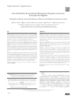 iChlamydia_trachomatisi_S.pdf